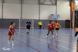N3F : BOUC Handball - HBC Villers Saint-Paul - Photothèque
