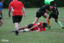 Reprise 2021-2022 des Arlequins - Photothèque