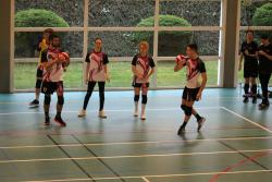 Ligue mixte de dodgeball - Photothèque