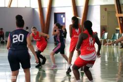 DÃ©partementale : BBCO 108 - 20 Beauvais Wolf - Photothèque