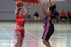 DÃ©partementale : BBCO 108 - 20 Beauvais Wolf - Photothèque