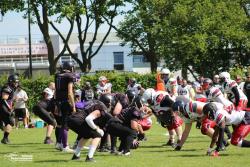 1/2 finale R1 : Predators 14-0 Coyotes de Denain - Photothèque