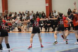 CDF : BOUC Handball 23-35 Amicale LaÃ¯que CÃ©saire Levillain - Photothèque