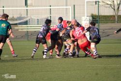 F1 : Beauvais 31-3 Gennevilliers - Photothèque