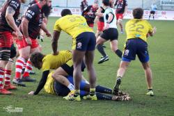 F1 : Beauvais 38-3 Sarcelles - Photothèque