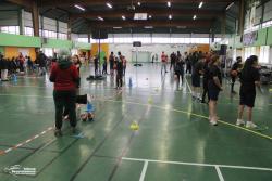 LabÃ©lisation Ã©cole de mini-basket des Wolf's - Photothèque